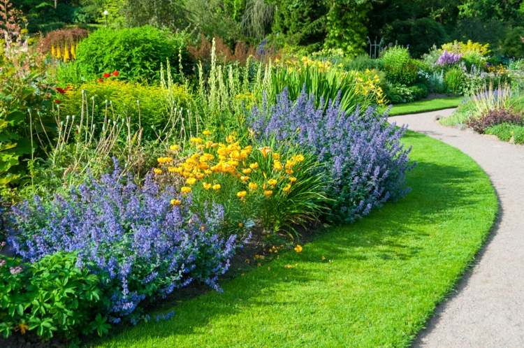 blommor-sol-gräsmatta-buskar-blå-trädgård-stig-vacker