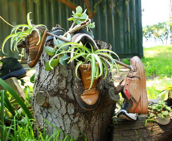 växter gamla sneakers idéer planterings trädgård deco