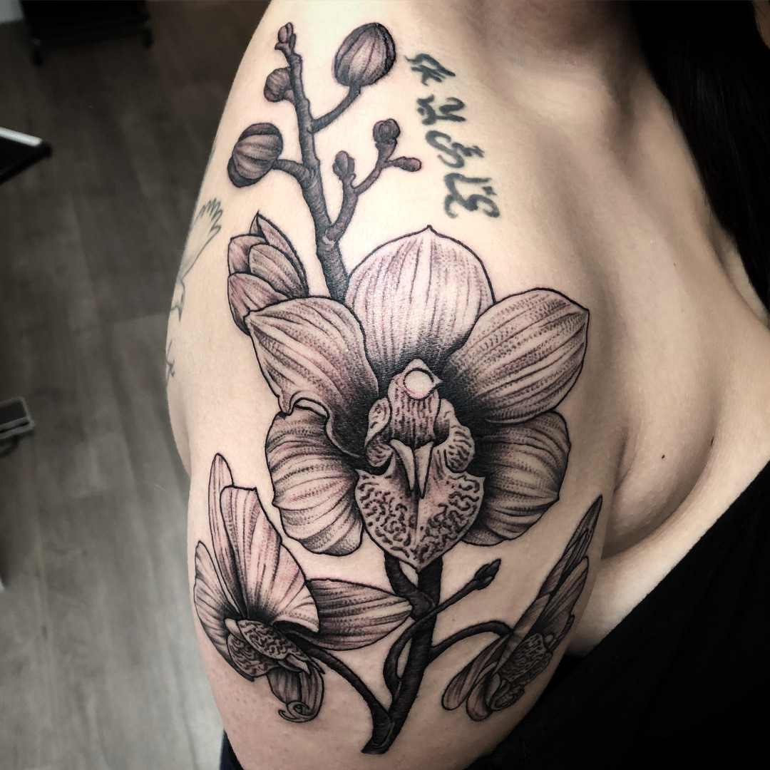 Orkidé blommor tatuering axel tatuering motiv kvinnor