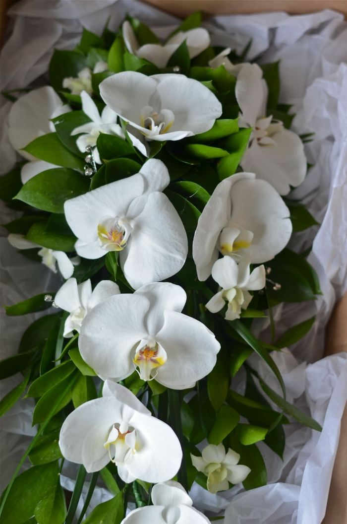 dekoration blommor orkidé gröna blad krans bröllop brud