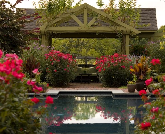 blommor och trädgård pool design vackra lerkrukor färger