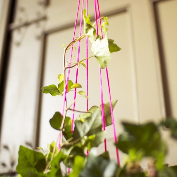 Intressanta hantverksidéer med blommor gröna växter