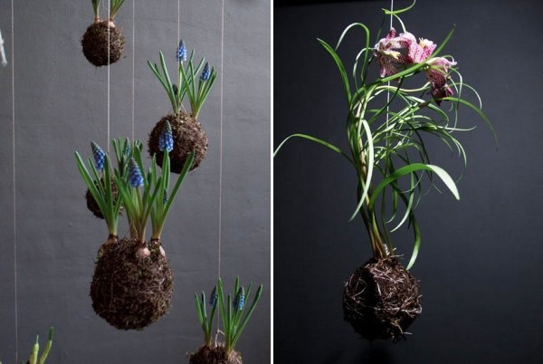 Hängande korg blommor designidéer inomhus trädgård