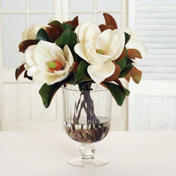 Blomma dekoration i vinglas magnolias vita gröna blad