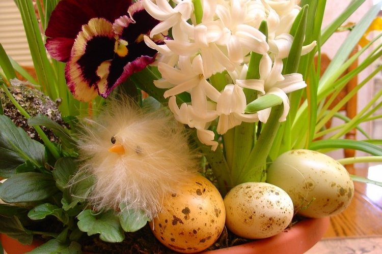 blomma-dekoration-påsk-idéer-arrangemang-vårblommor-ägg-blomkruka-kycklingar