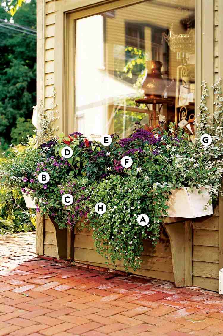 Plantera blomlådor för fönsterbrädor i skuggan