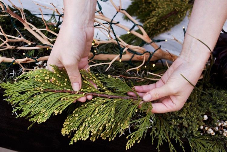 blomlåda för juldekoration vintergröna grenar cypressgran