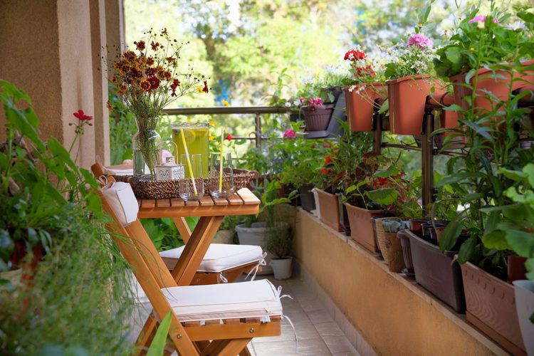 Blomma lådor plantera idéer för våren och tips för plantering