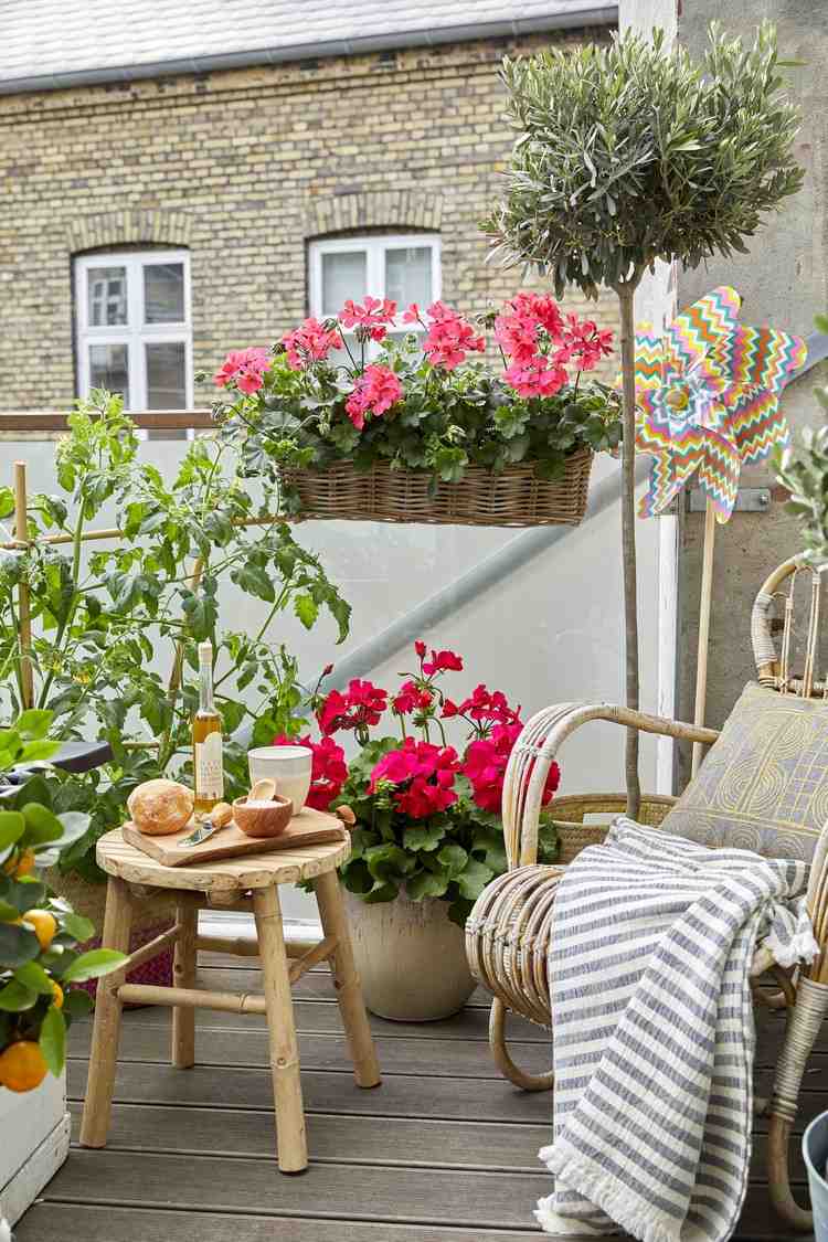 Skapa balkong med blommor, idéer för plantering av blomlådor