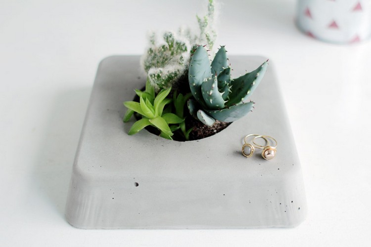 Betongblomkruka-gör-dina-egna-succulenter