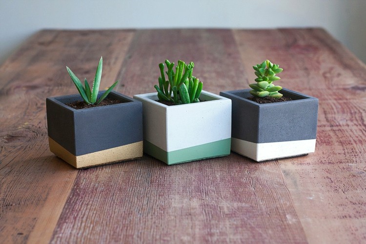 blomkruka design fyrkantig kub moderna succulenter svart grön