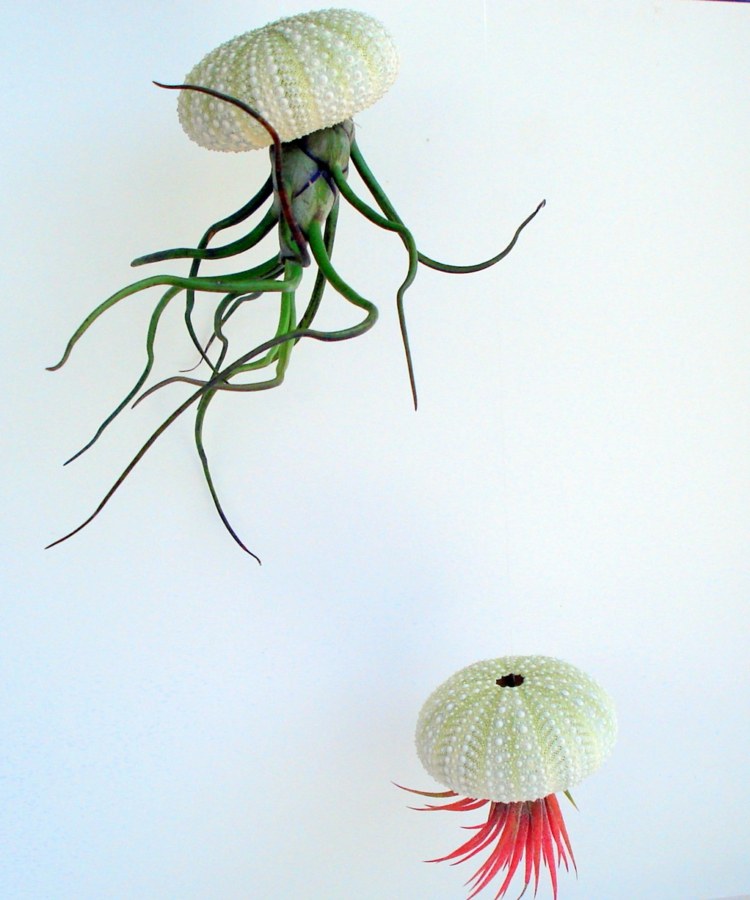 maneter blomkruka design växtidé handgjord etsy