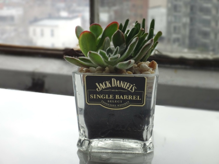 glas whisky jack daniels blomkruka inspiration saftig