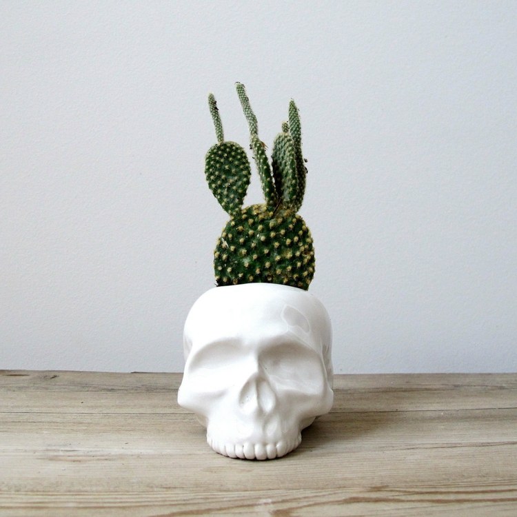 inredning vit skalle kaktus blomkruka design