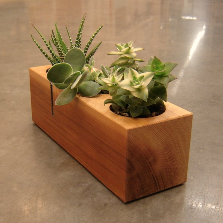 trädesign blomsterlåda saftig aloe block deco