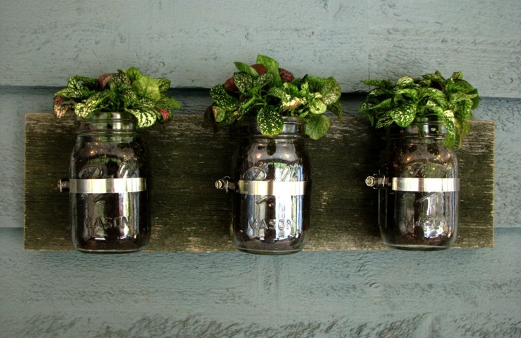 Mason jar väggdekoration växter blomkruka original DIY