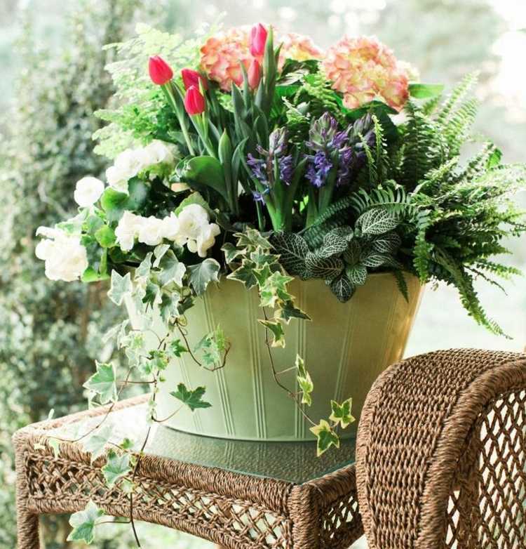 blomkruka-ormbunkar-för-skuggan-murgröna-arrangemang-svärd-ormbunke-tulpaner