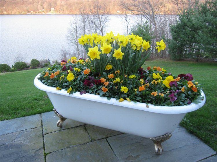 blomkrukor-trädgård-plantering-badkar-retro-idé-säng-narcissus-penséer-färgglada