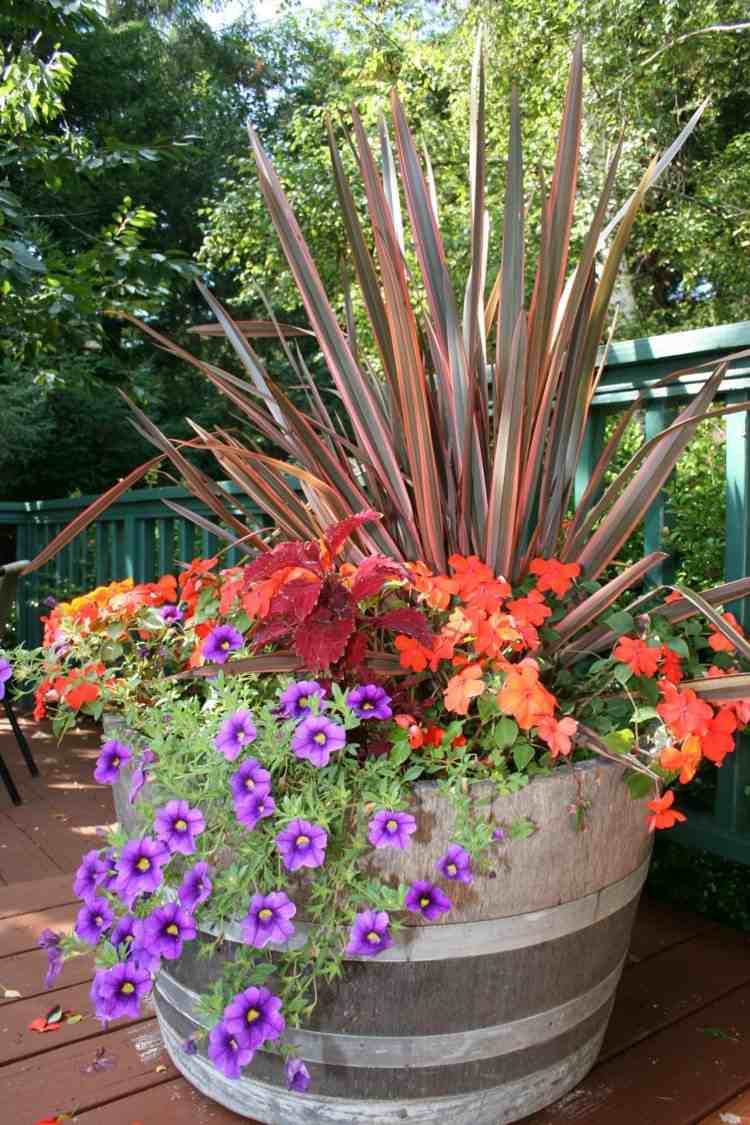 blomkrukor-trädgård-plantering-neusselaendischer-lin-vårkål-rosa-orange