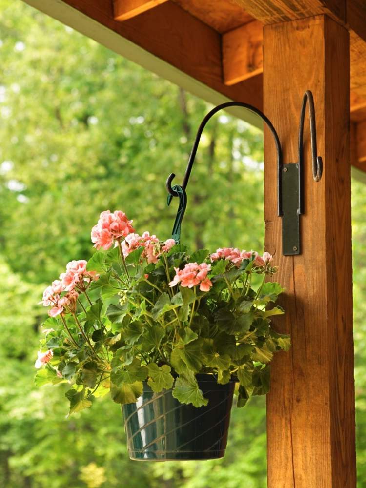 blomkrukor-trädgård-plantering-pelargonium-rosa-barer-hängande-romantisk