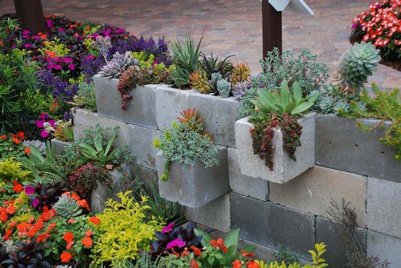 Blomkrukor-gör-det-själv-betongblocksucculent växt