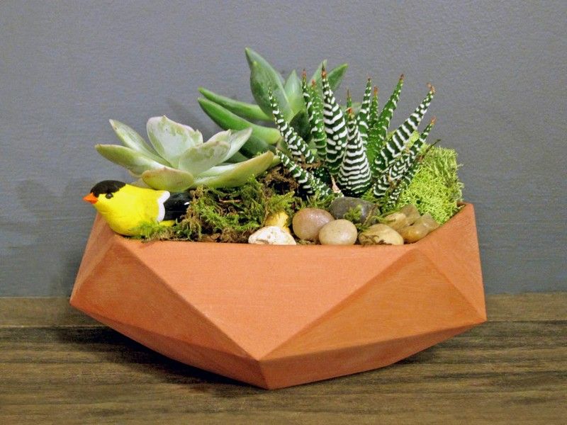 Blomkrukor-gör-det-själv-succulenter-betong-behållarfärg