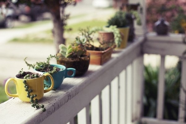 Blomkrukor succulenter kaffemuggar veranda idéer gör det själv