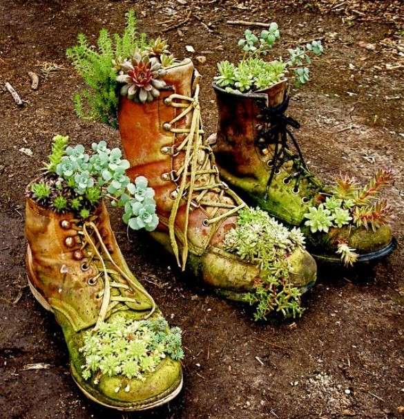 Gör-det-själv blomkrukor gamla stövlar trädgårdssuckulenter
