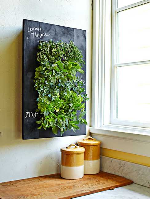 vertikal planteringsörter blommor blackboard färg kök