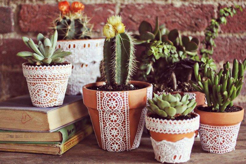 DIY blomkrukor lerkrukor spetsdekorationer kaktus succulenter