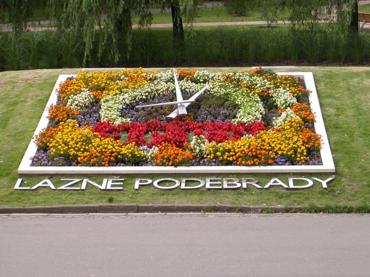 Skapa blomklocka Tjeckiens nationalpark