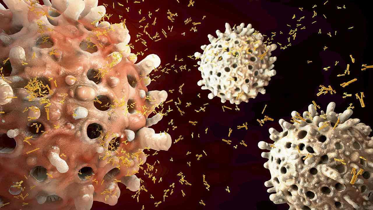 Leukocyter kämpar mot främmande ämnen som bakterier och virus och skyddar kroppen