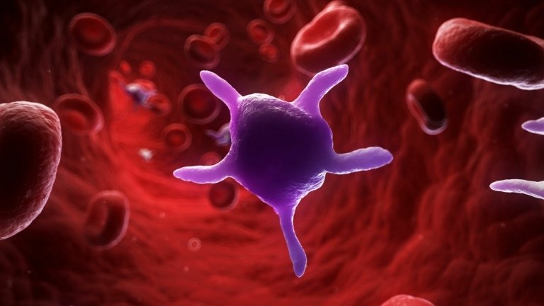 Blodtalet av trombocyter (trombocyter) ökar i infektioner och cancer