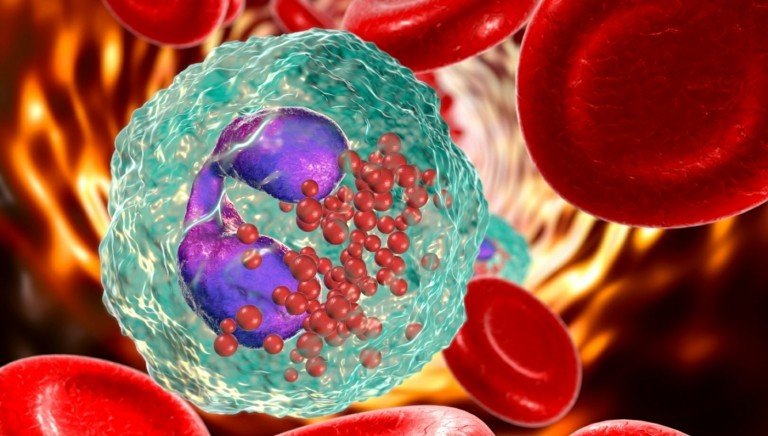 Bland annat bekämpar eosinofiler parasiter, med höga värden som också indikerar allergier