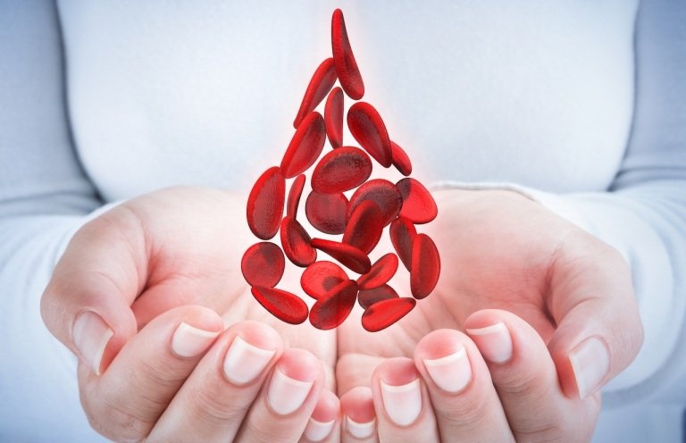 Monocyter är en del av immunsystemet och kallas också fagocyter eftersom de kan lösa patogener