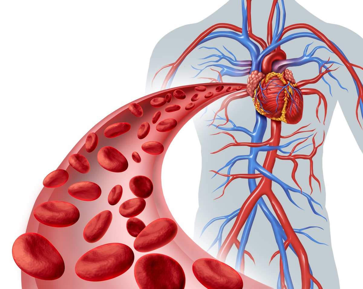 Blodsedimenteringshastigheten ökar med inflammation, reumatism och blodförgiftning