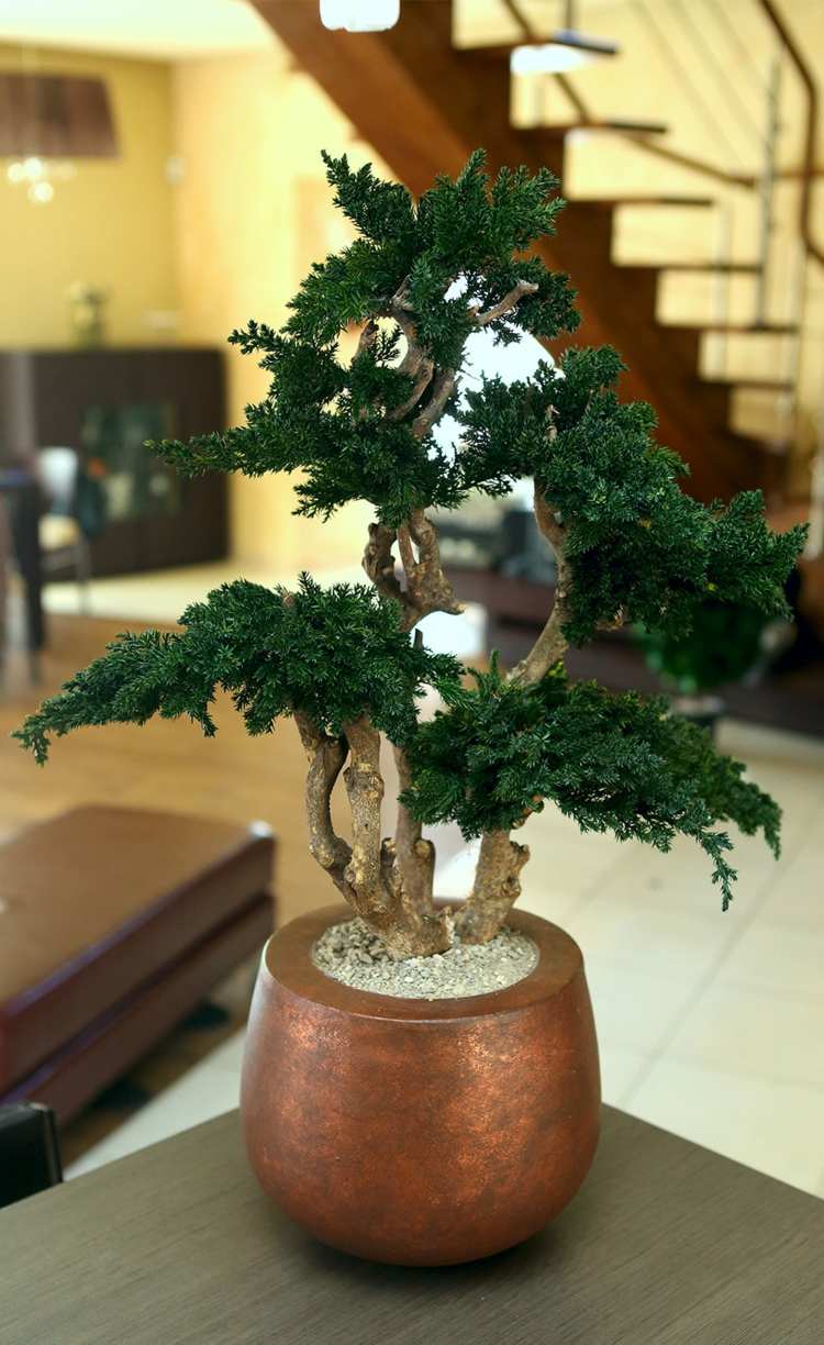 bonsai tree idé planter metall elegant vintergröna