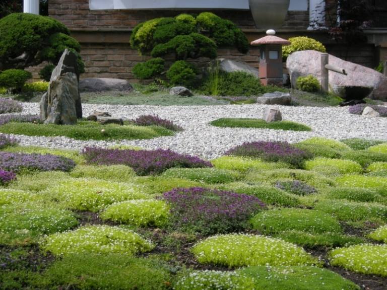 Bonsai träd tilldelning trädgård fontän design