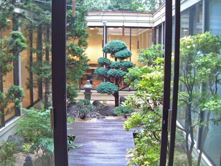 Bonsai-träd-innergård-design-idéer-växter
