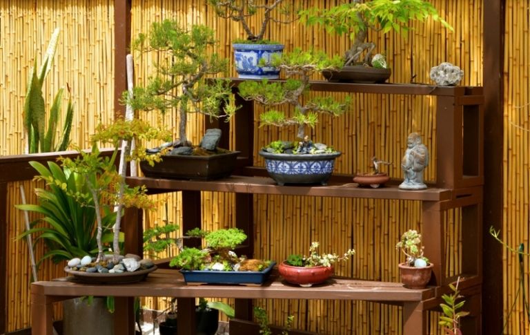 Bonsai Tree Japanese Garden Bamboo Privacy Screen