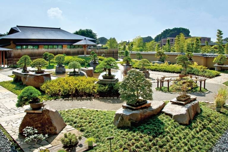 Bonsai trädgårdsstenar designidéer