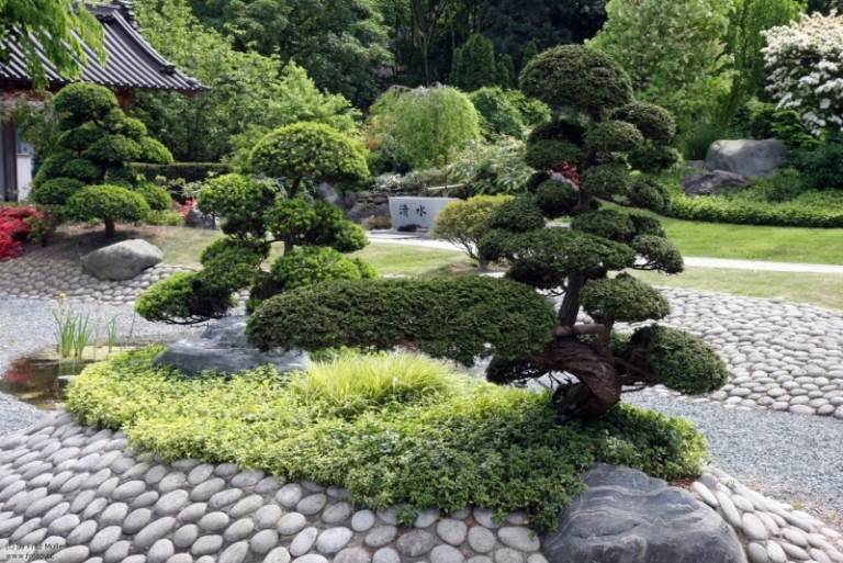 Bonsai trädgårdsdesignidéer rock garden