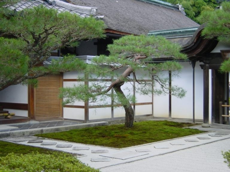 Bonsai-träd-trädgård-design-idéer-asiatisk
