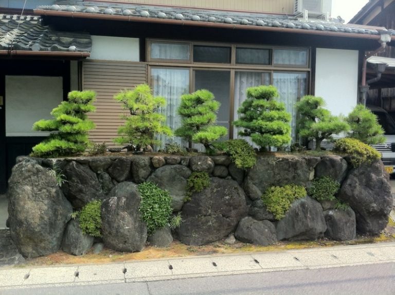 bonsai-trädgården-zen-trädgård-växter