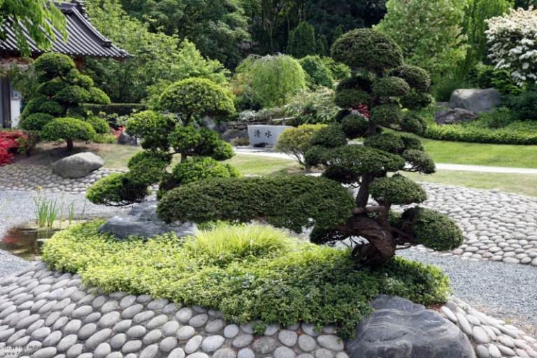 bonsai-träd-trädgård-design-idé-markskydd