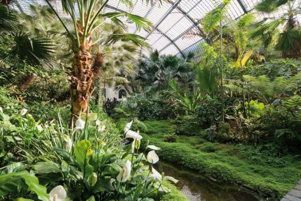 Palmengarten Frankfurt bästa botaniska trädgård