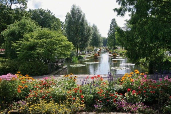 Hamburgs botaniska trädgård