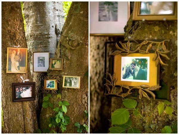Familj-foton-på-väggen-idéer-träd-trädgård
