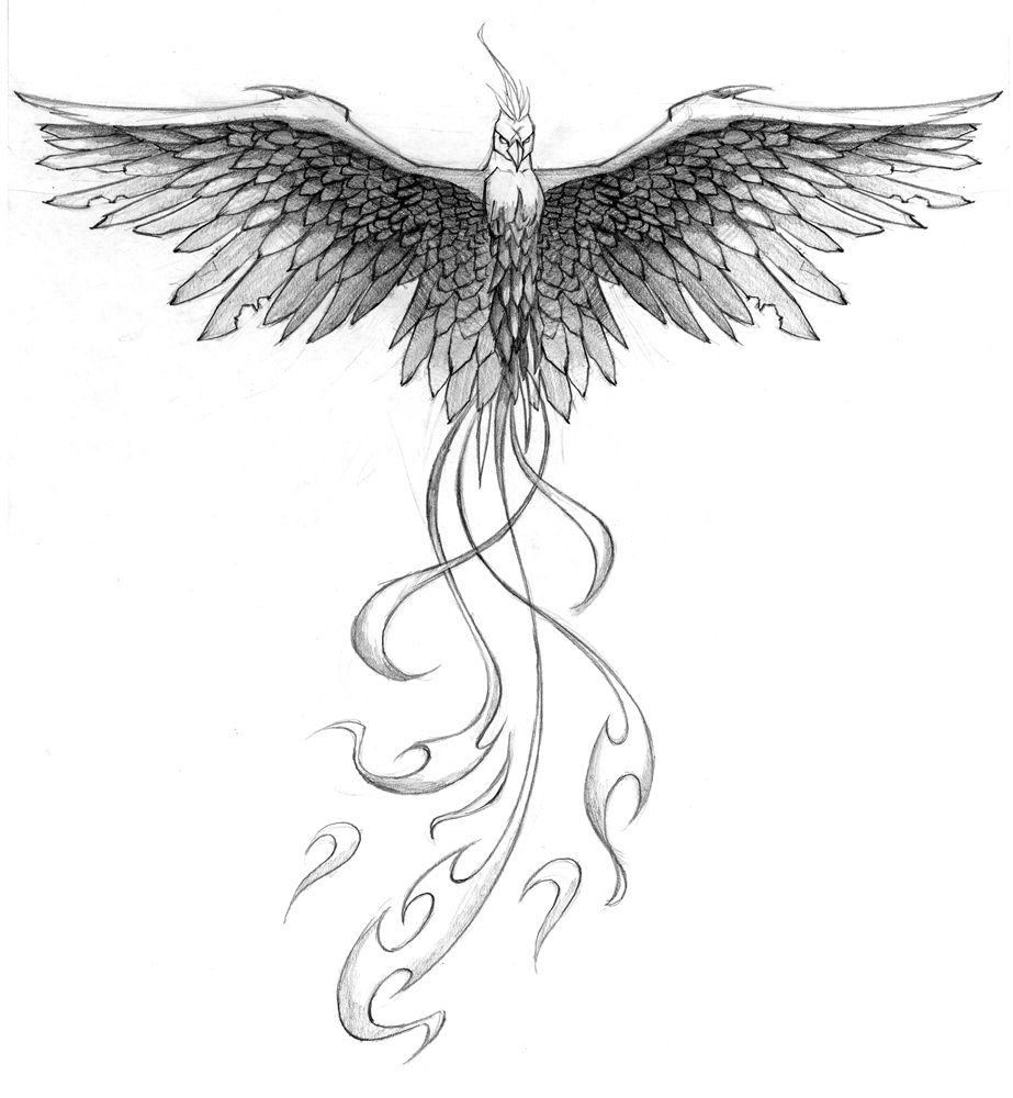Vingar tatuering bröstmallar phoenix tatuering motiv mening