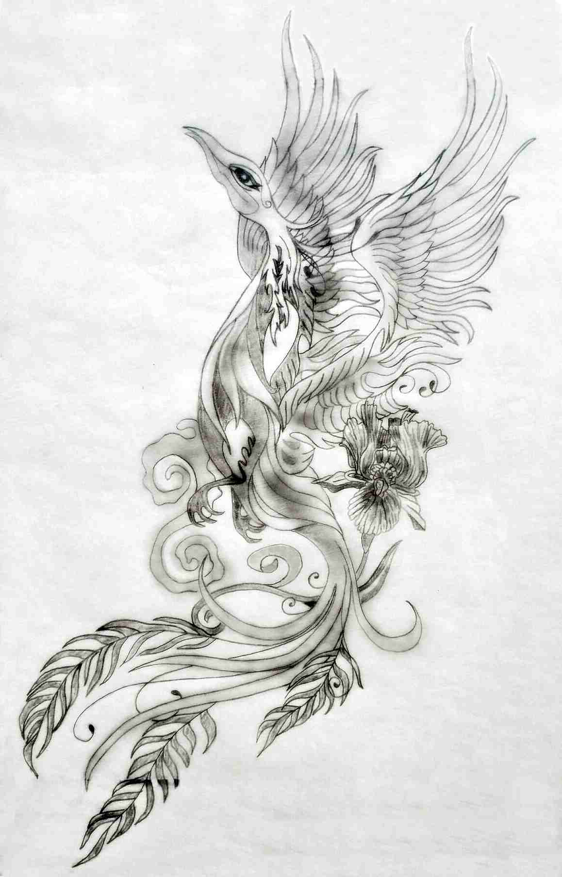 Phoenix Tattoo Design Betydelse Wings Tattoo Bröstmall